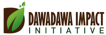 Dawadawa Impact Initiative logo